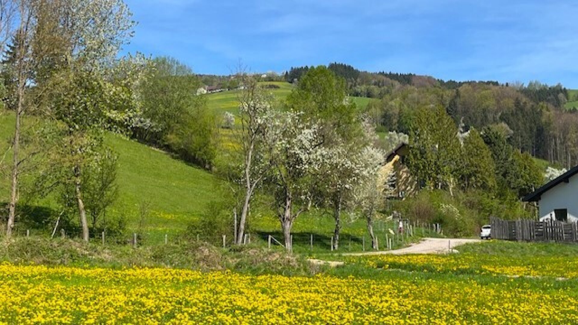 Im Mostviertel blühen wieder die Bäume ... - Baugründe in wunderschöner, sonniger Lage!