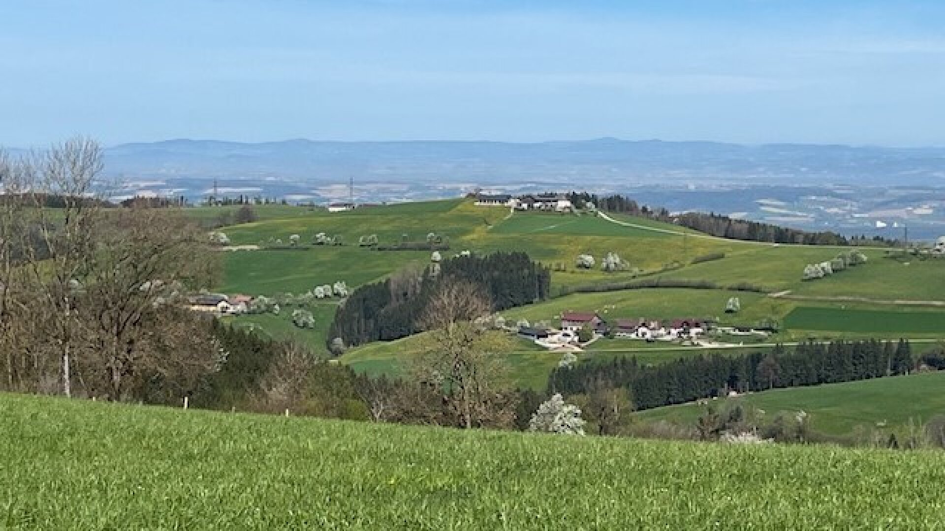 Im Mostviertel blühen wieder die Bäume ... - Baugründe in wunderschöner, sonniger Lage!