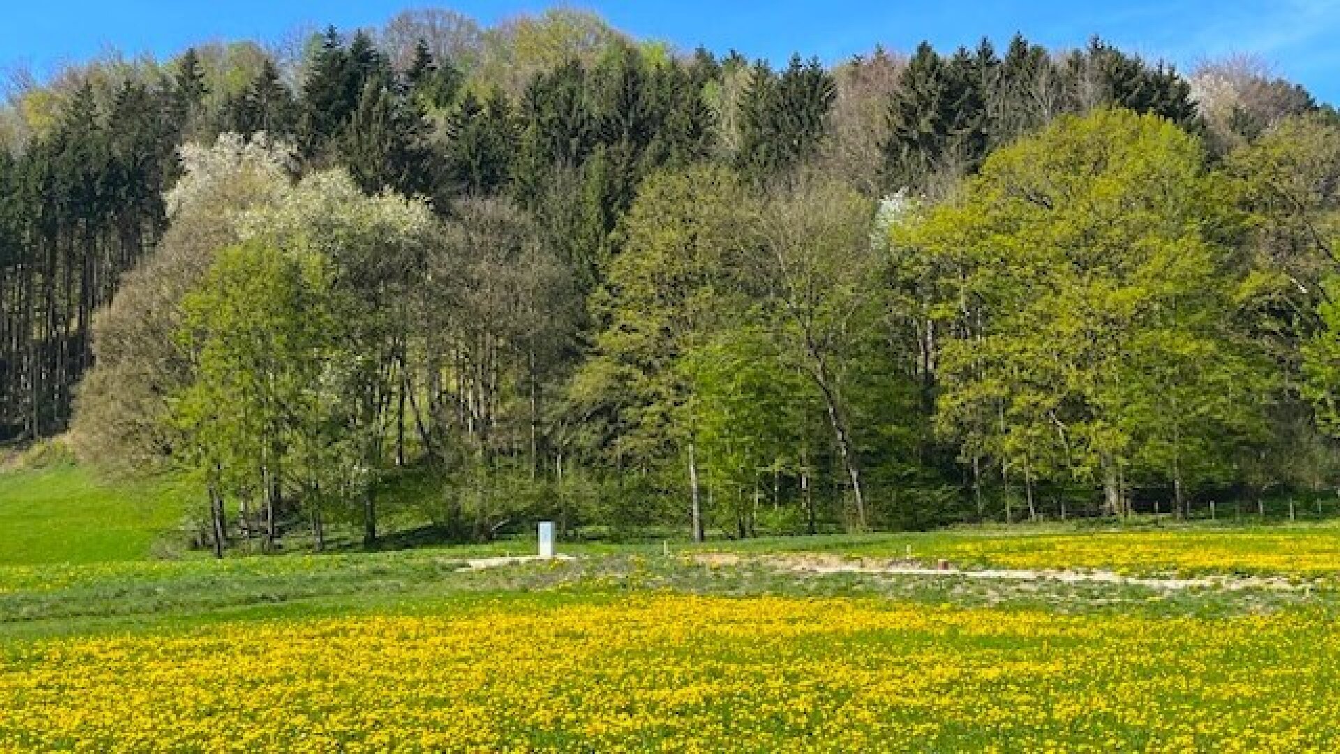 Bauträgerobjekt im Mostviertel - Baugründe in wunderschöner, sonniger Lage!