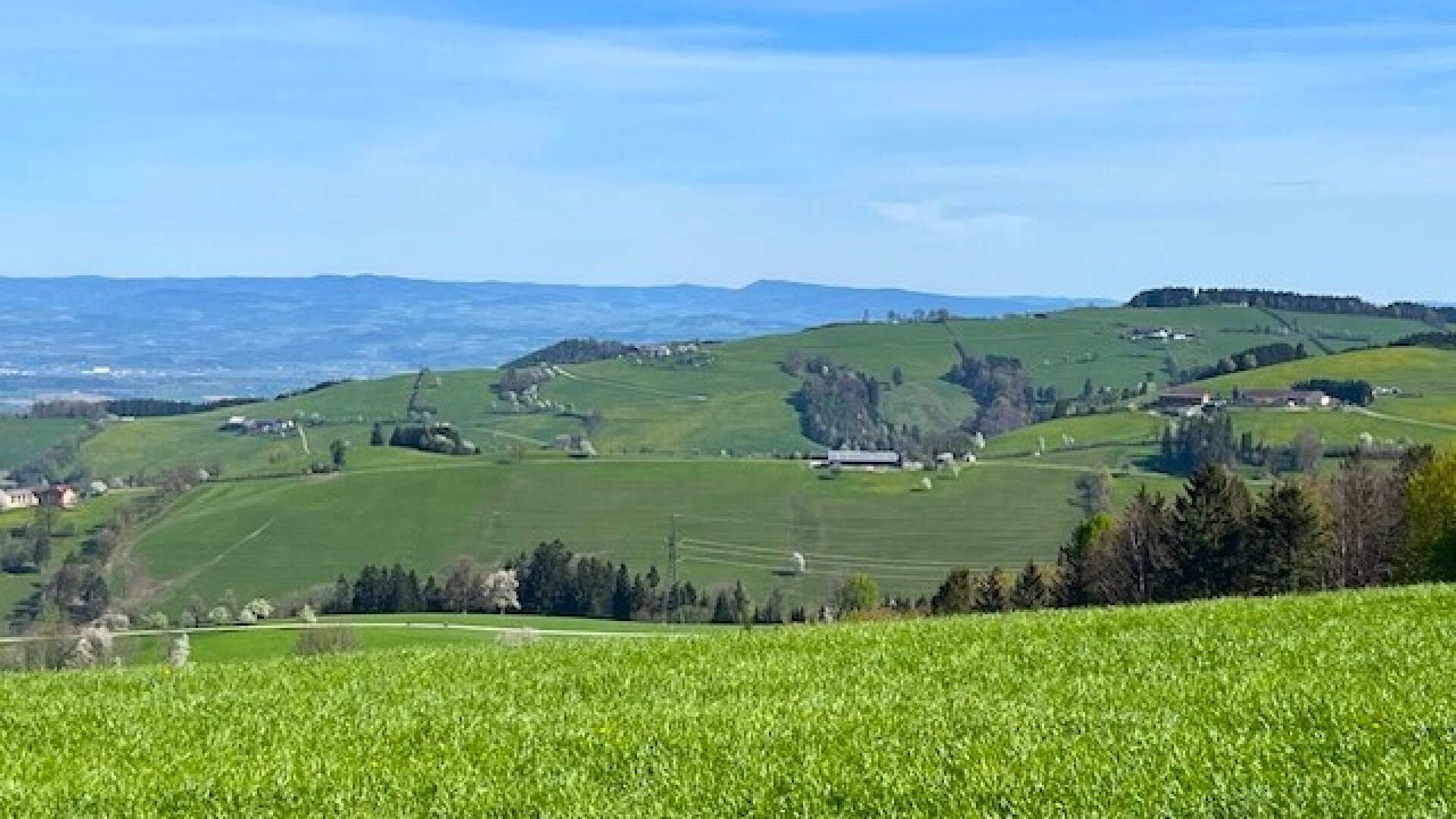 Bauträgerobjekt im Mostviertel - Baugründe in wunderschöner, sonniger Lage!