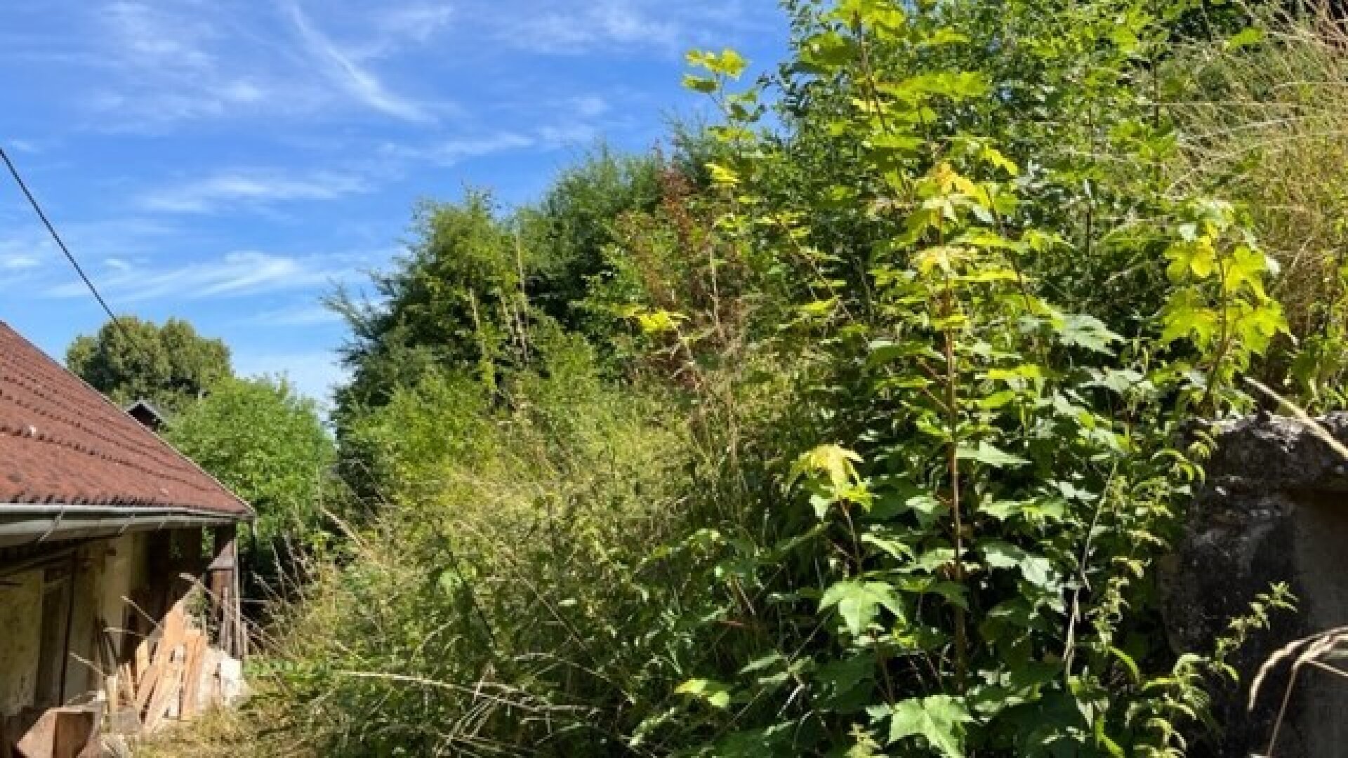 IDYLLE PUR! Perfekte Anbindung! Bauernsacherl zum verlieben! KEIN BAUZWANG!