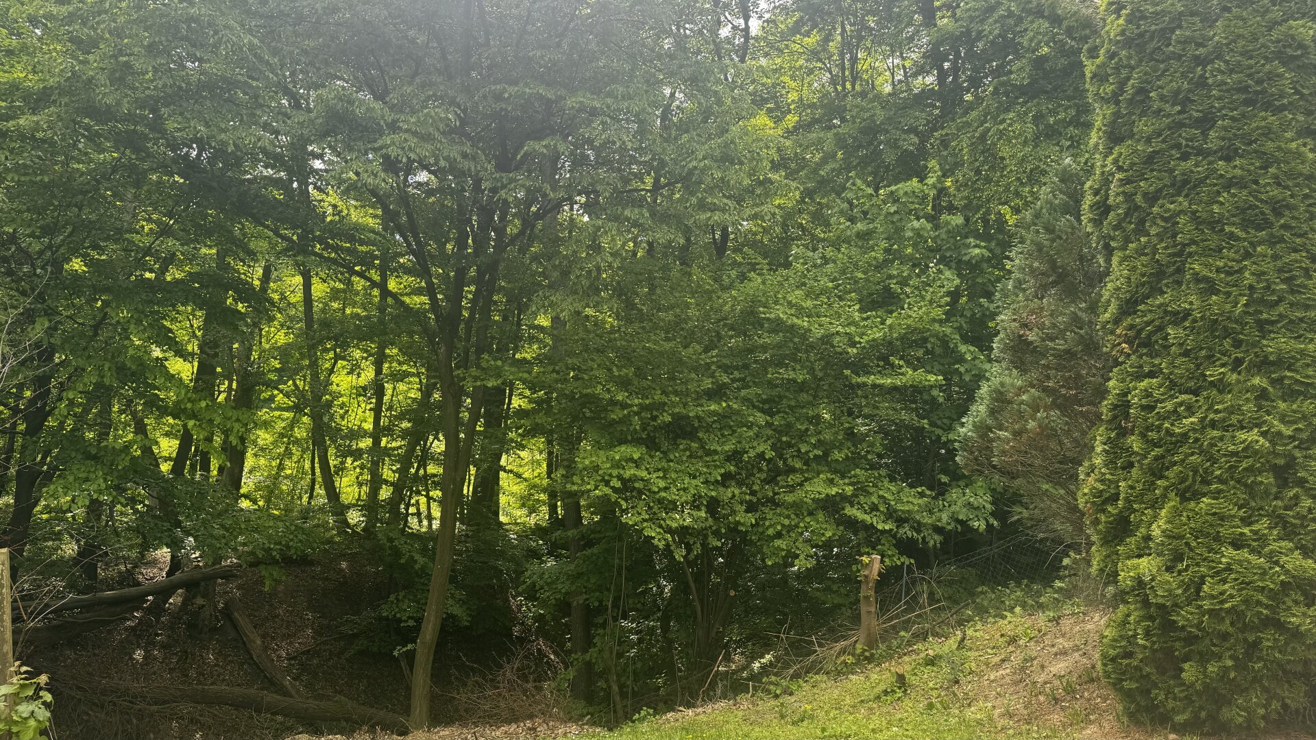 Wohnhaus am Waldesrand