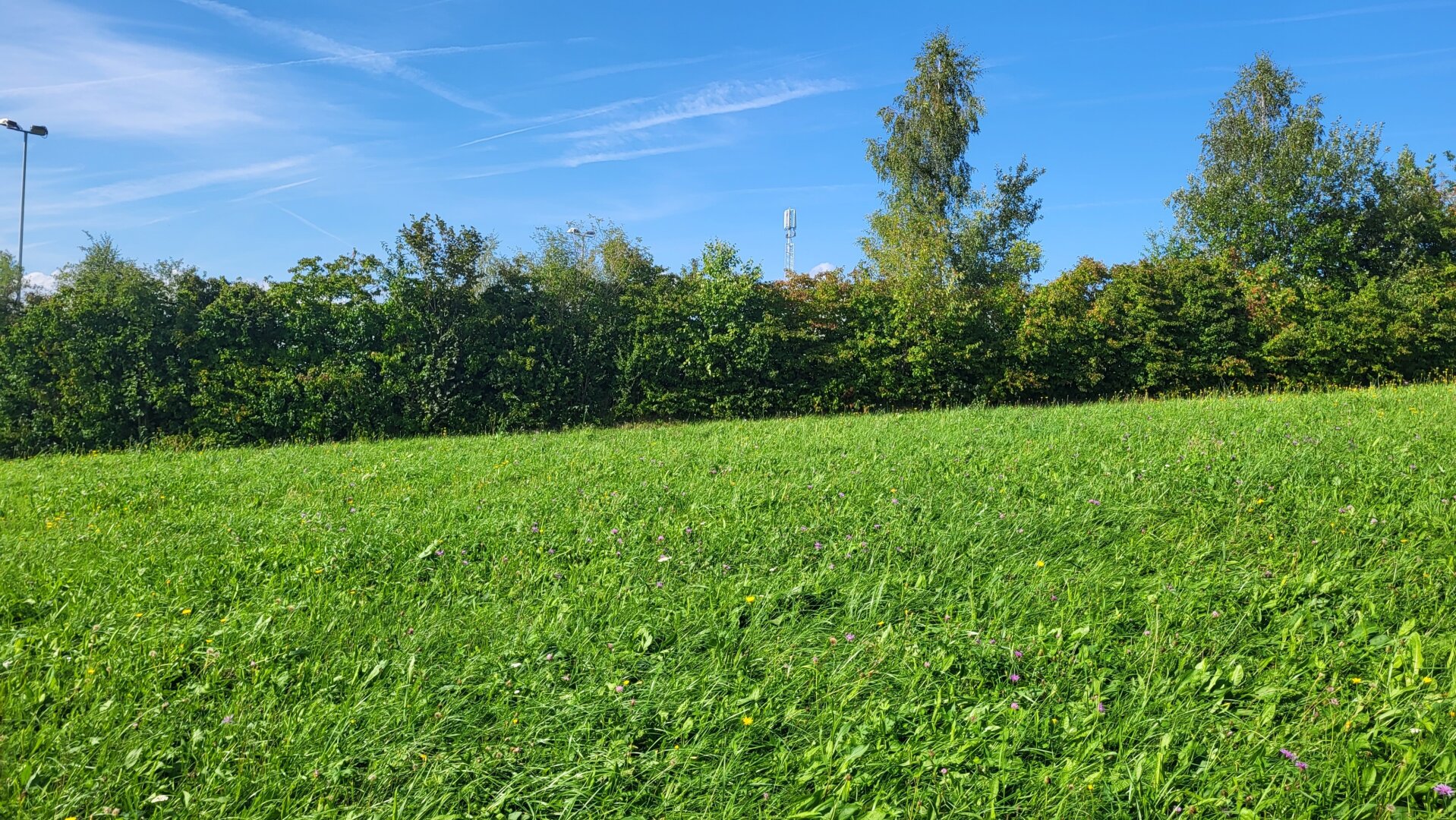 Barrierefreier Bungalow in ländlicher Lage