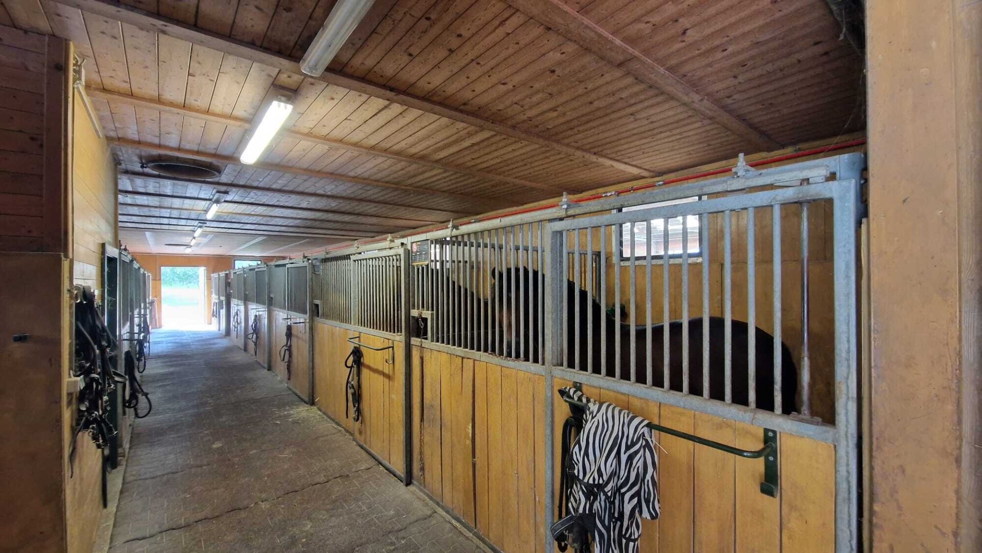 Pferdehof, Arrondierte Landwirtschaft Eigene Quelle