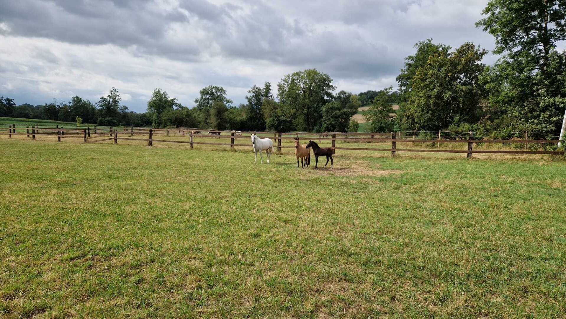 Pferdehof, Arrondierte Landwirtschaft Eigene Quelle