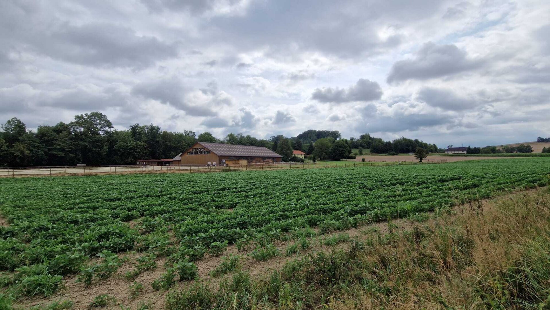 Pferdehof, Arrondierte Landwirtschaft Eigene Quelle