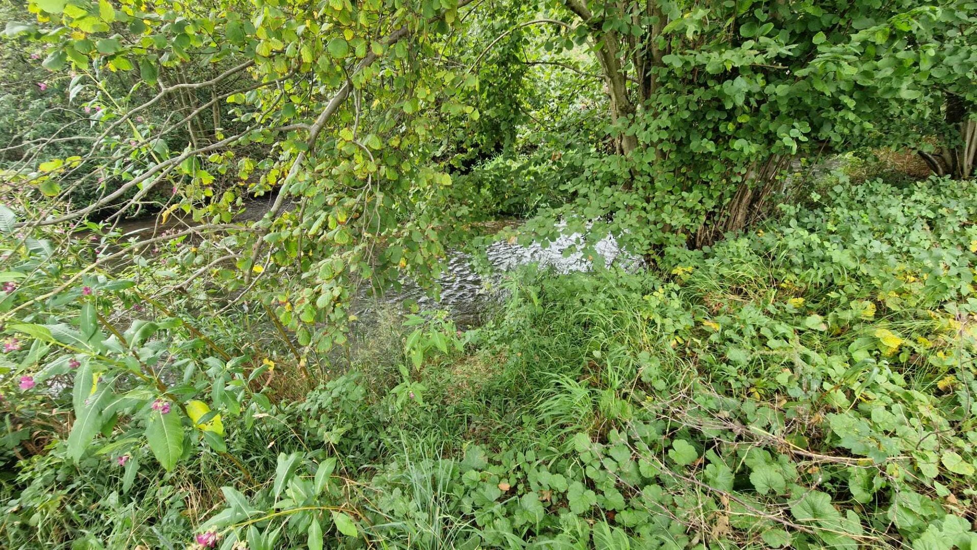 Pferdehof, Arrondierte Landwirtschaft Eigene Quelle