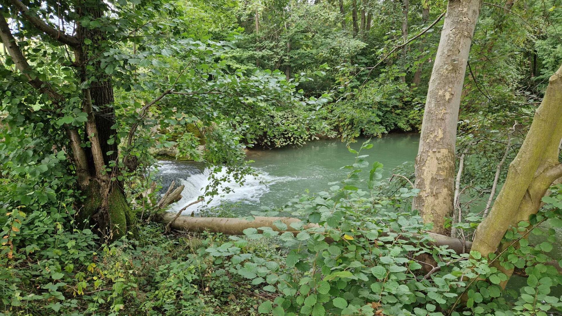 Pferdehof, Arrondierte Landwirtschaft Eigene Quelle