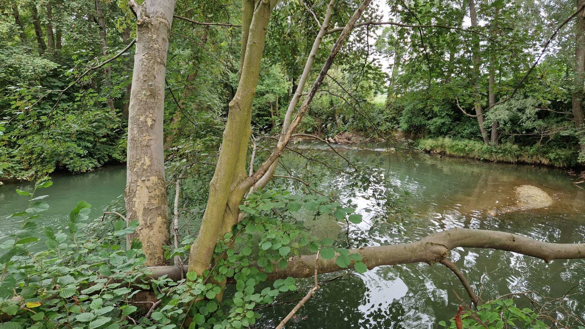 Pferdehof, Arrondierte Landwirtschaft Eigene Quelle