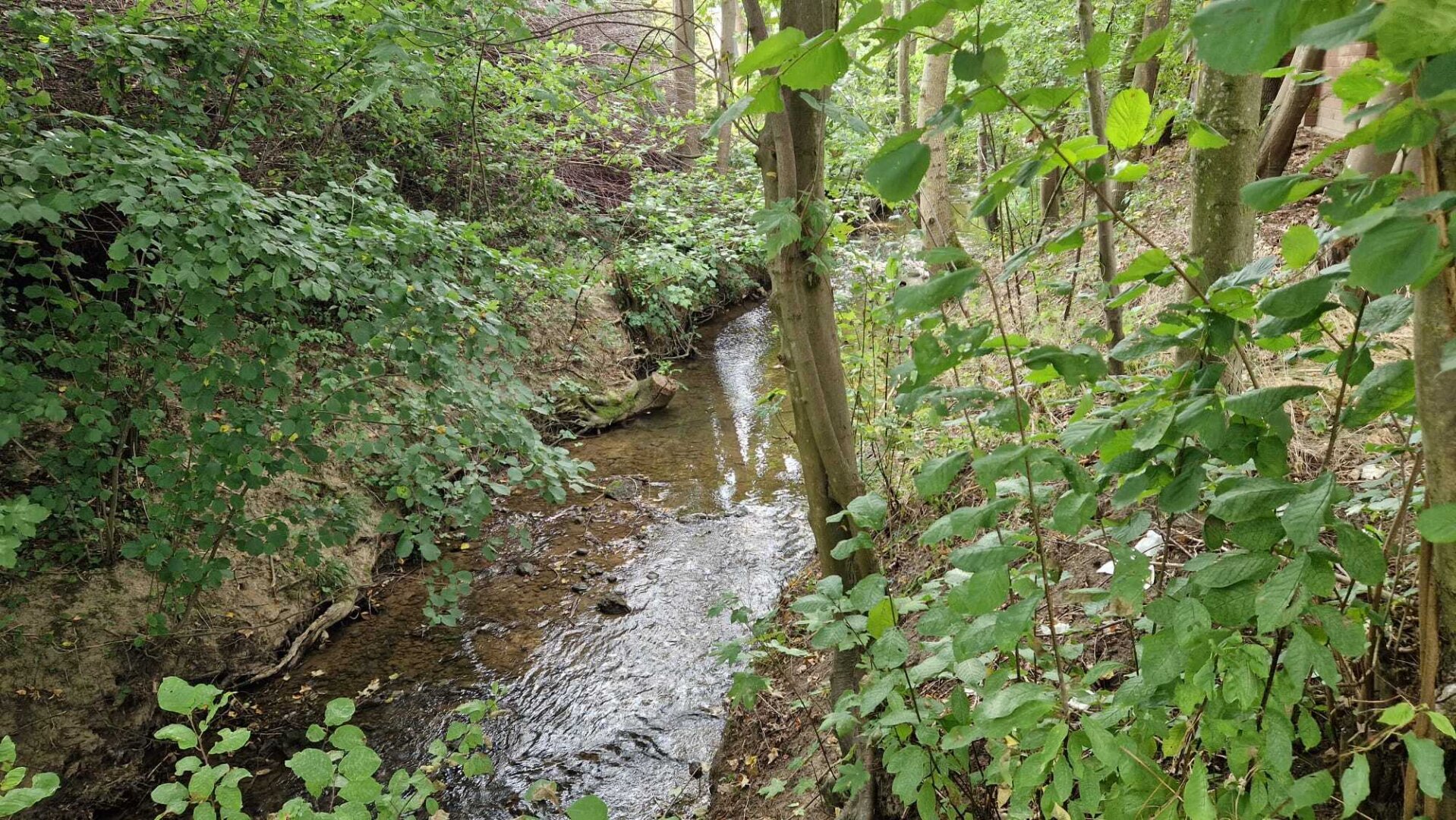 Pferdehof, Arrondierte Landwirtschaft Eigene Quelle