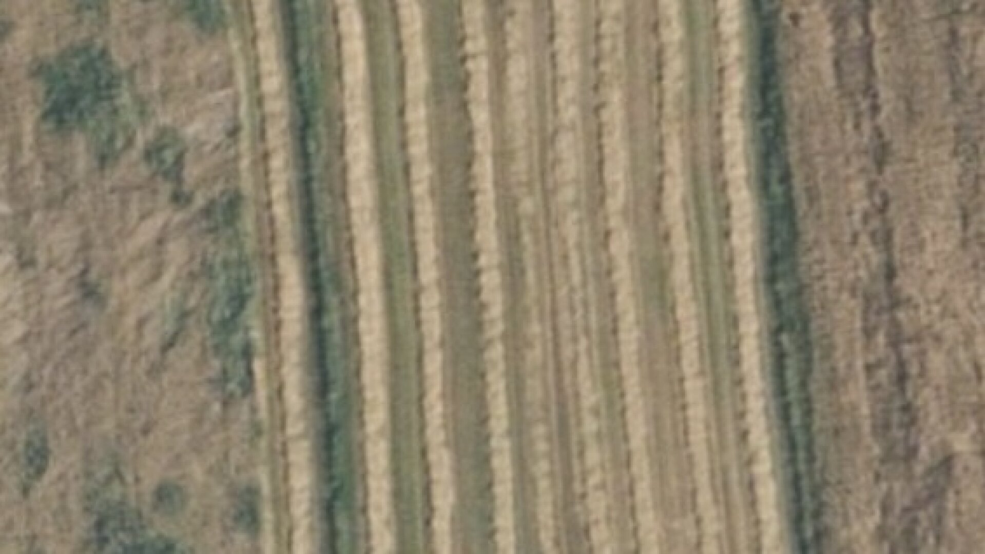 landwirtschaftlich genutzte Grundflächen