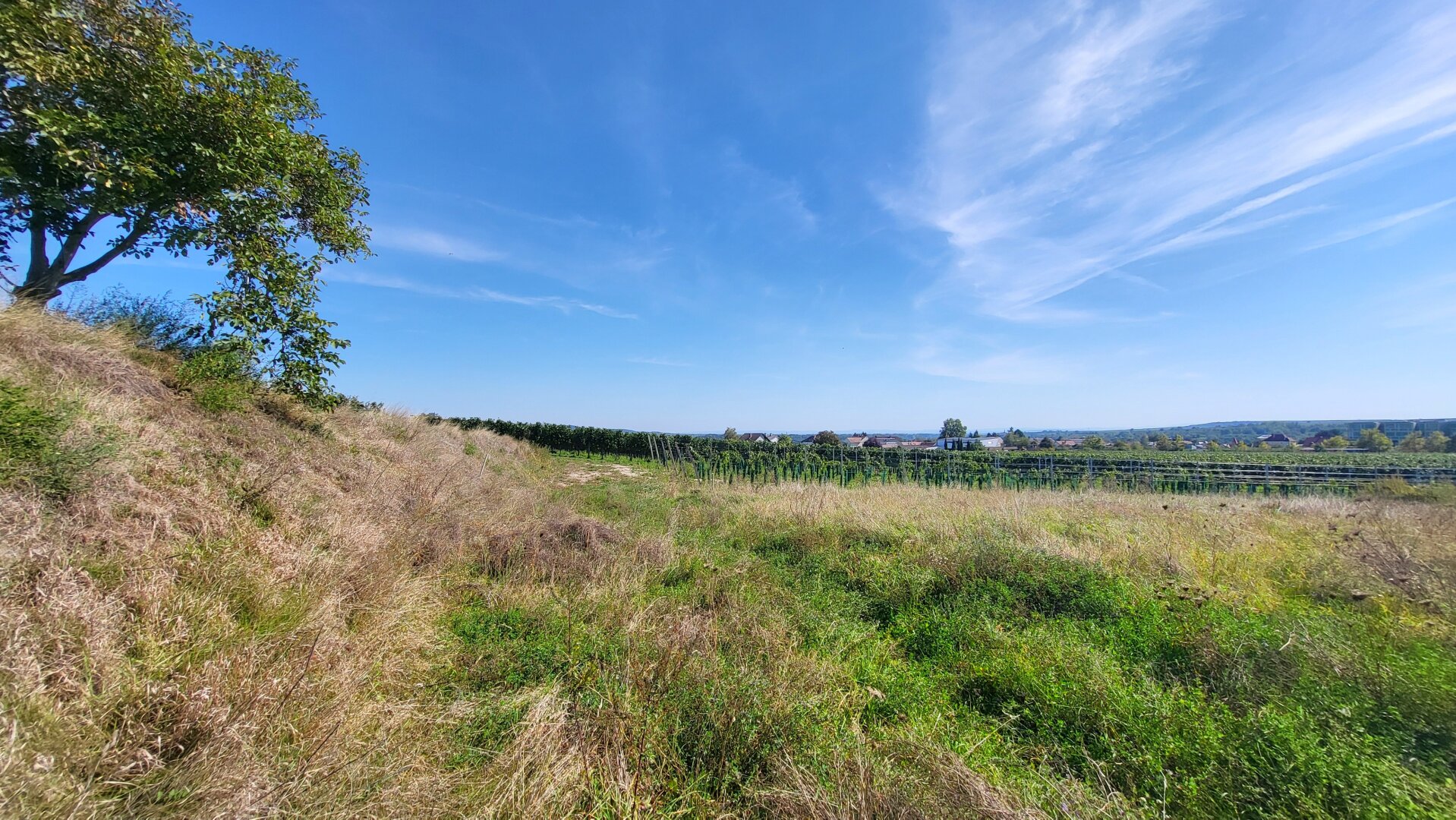 Baubehördlich bewilligtes Grundstück 5 Wohnungen WNFl. gesamt 476,31 m2