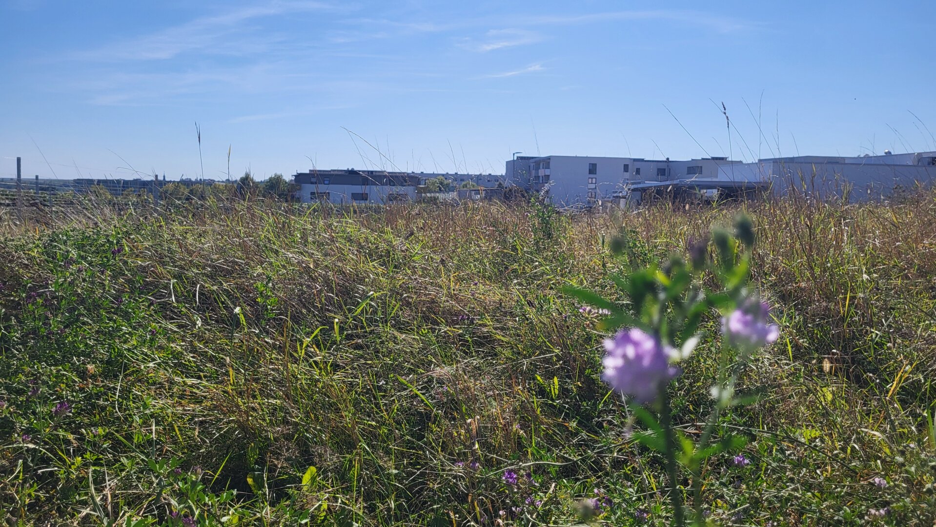 Baubehördlich bewilligtes Grundstück 5 Wohnungen WNFl. gesamt 476,31 m2