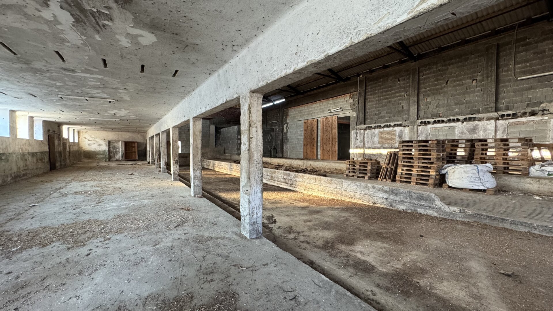 Alter großer Hof mit Nebengebäude und Halle - Achtung neuer Preis!!!! Super Lage!!!