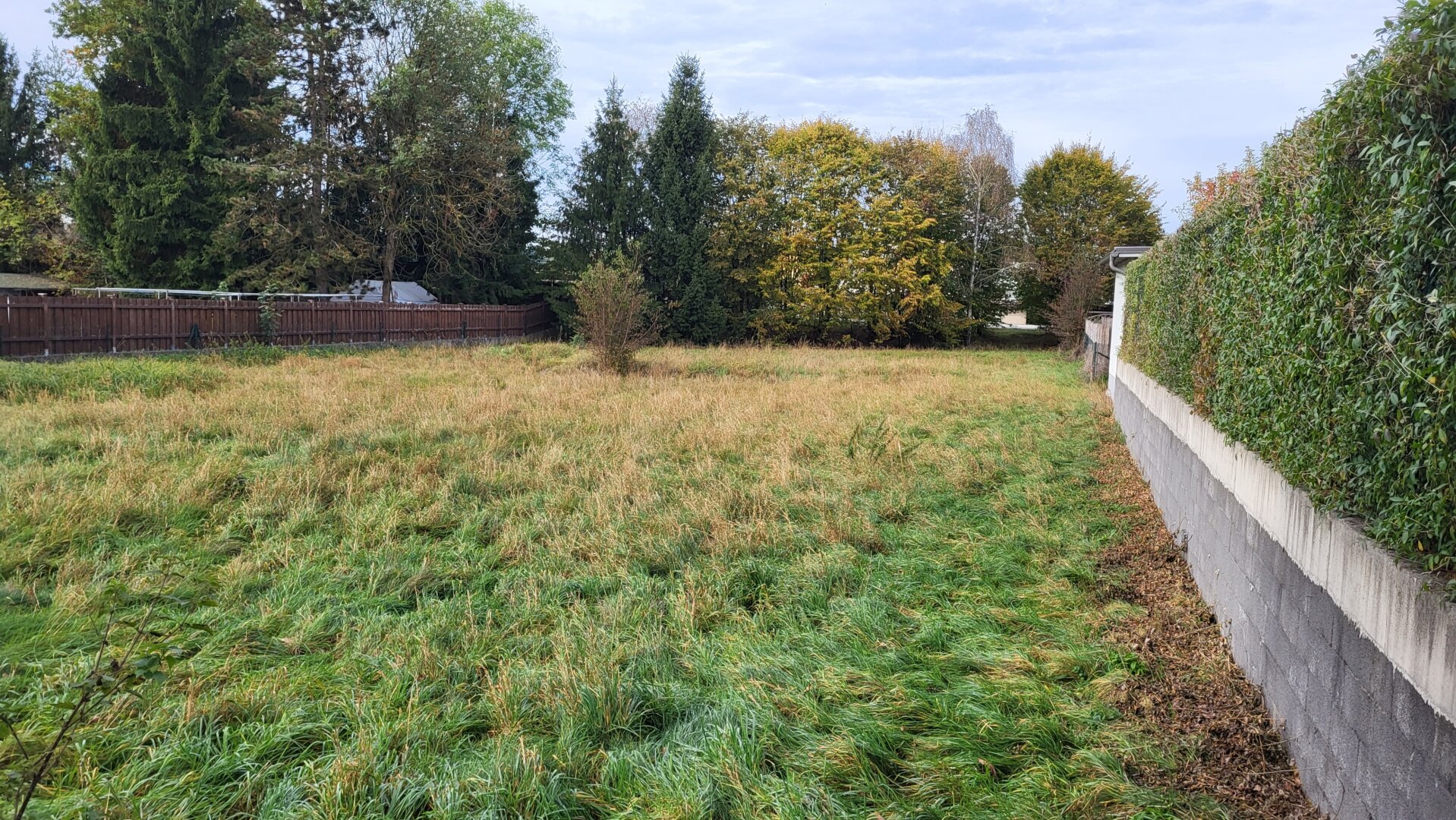 Naturnahes Grundstück, 1500 m2, Nähe Ohlsdorf, Laakirchen, Gmunden, Traunsee, ohne Bauzwang