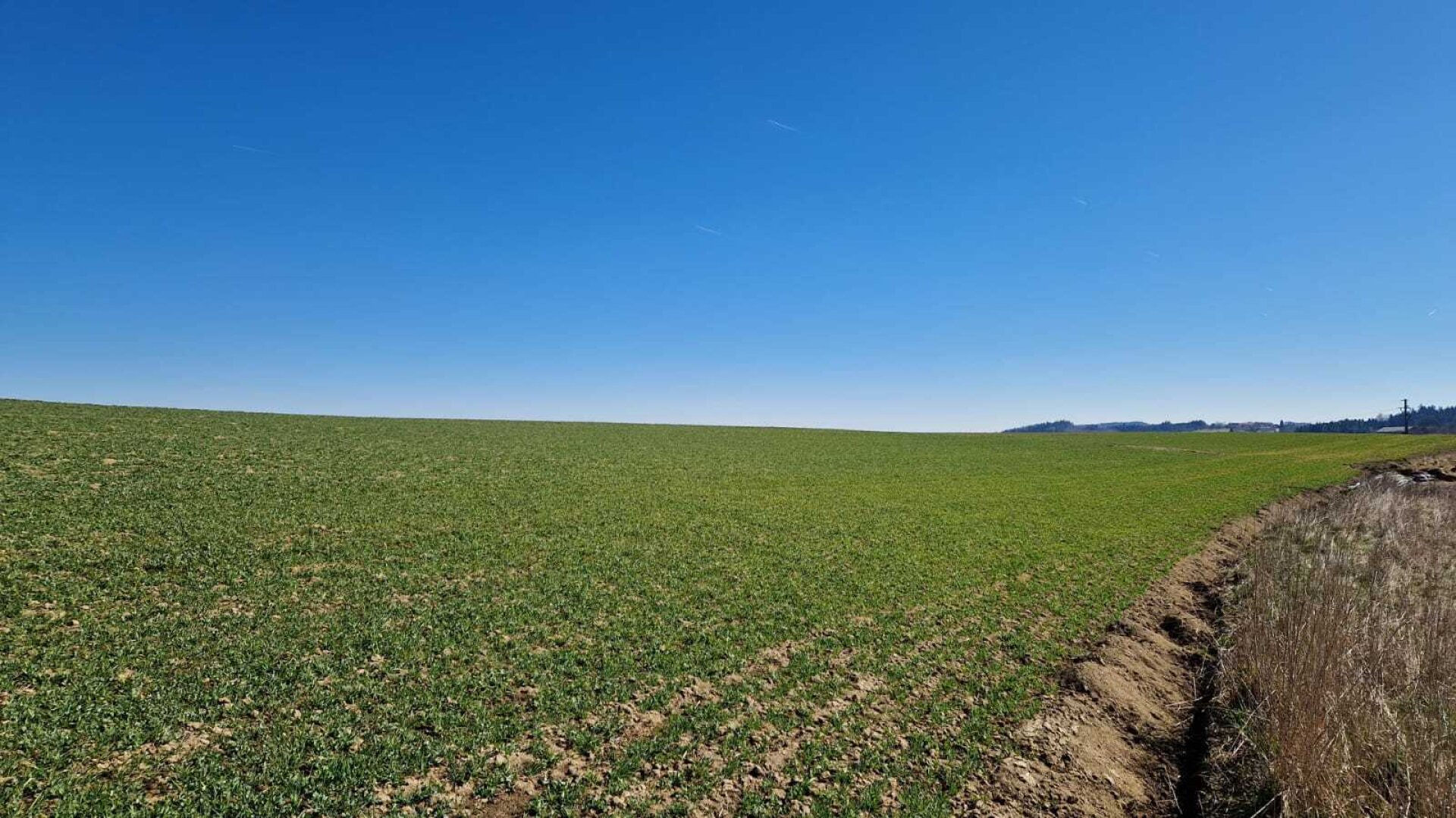 Baugründe in Pollham sonnig in erhöhter Lage ab 77550,--
