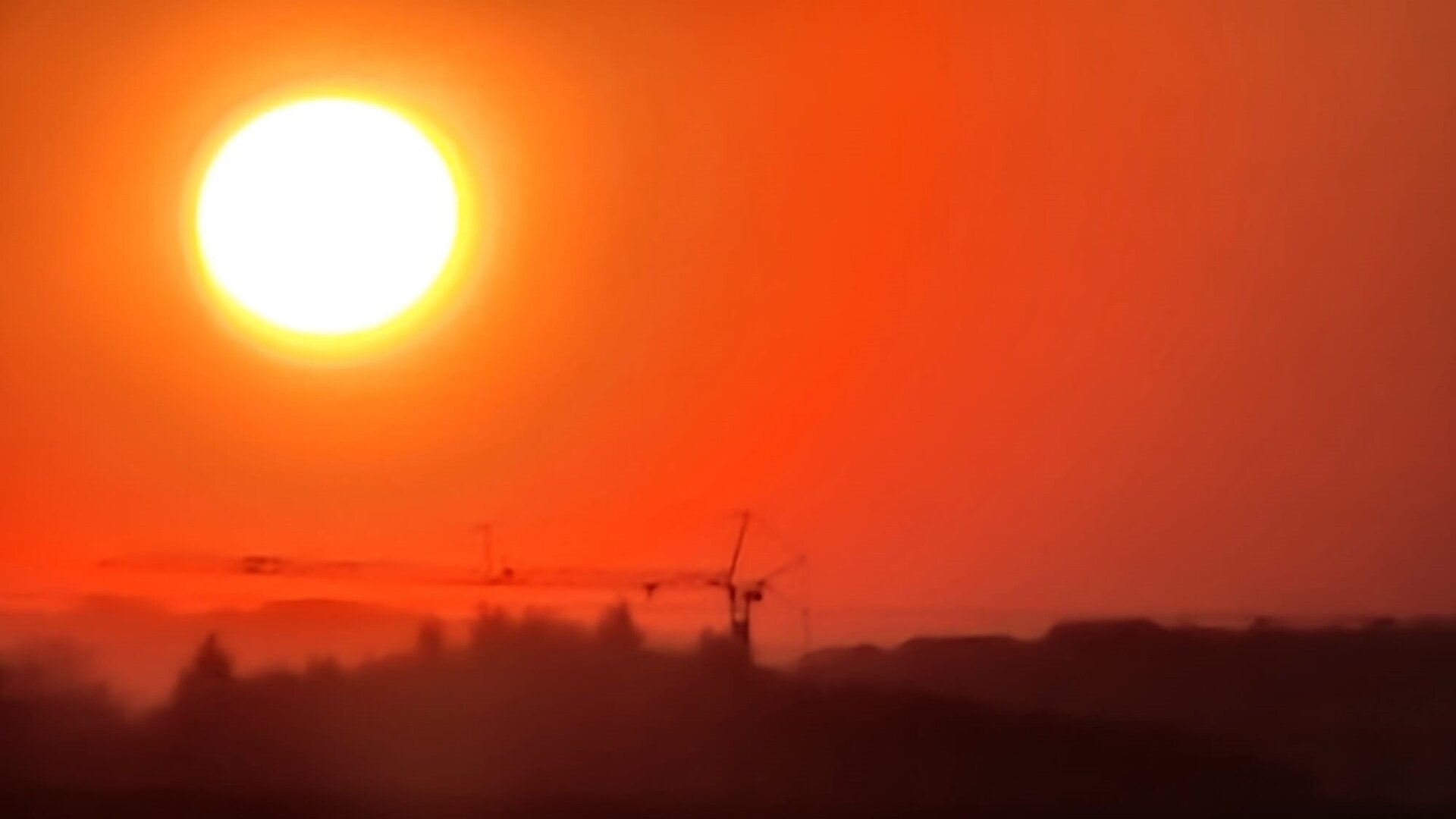 Land- und Forstwirtschaft mit rund 10 ha Grund und riesiger PV-Anlage