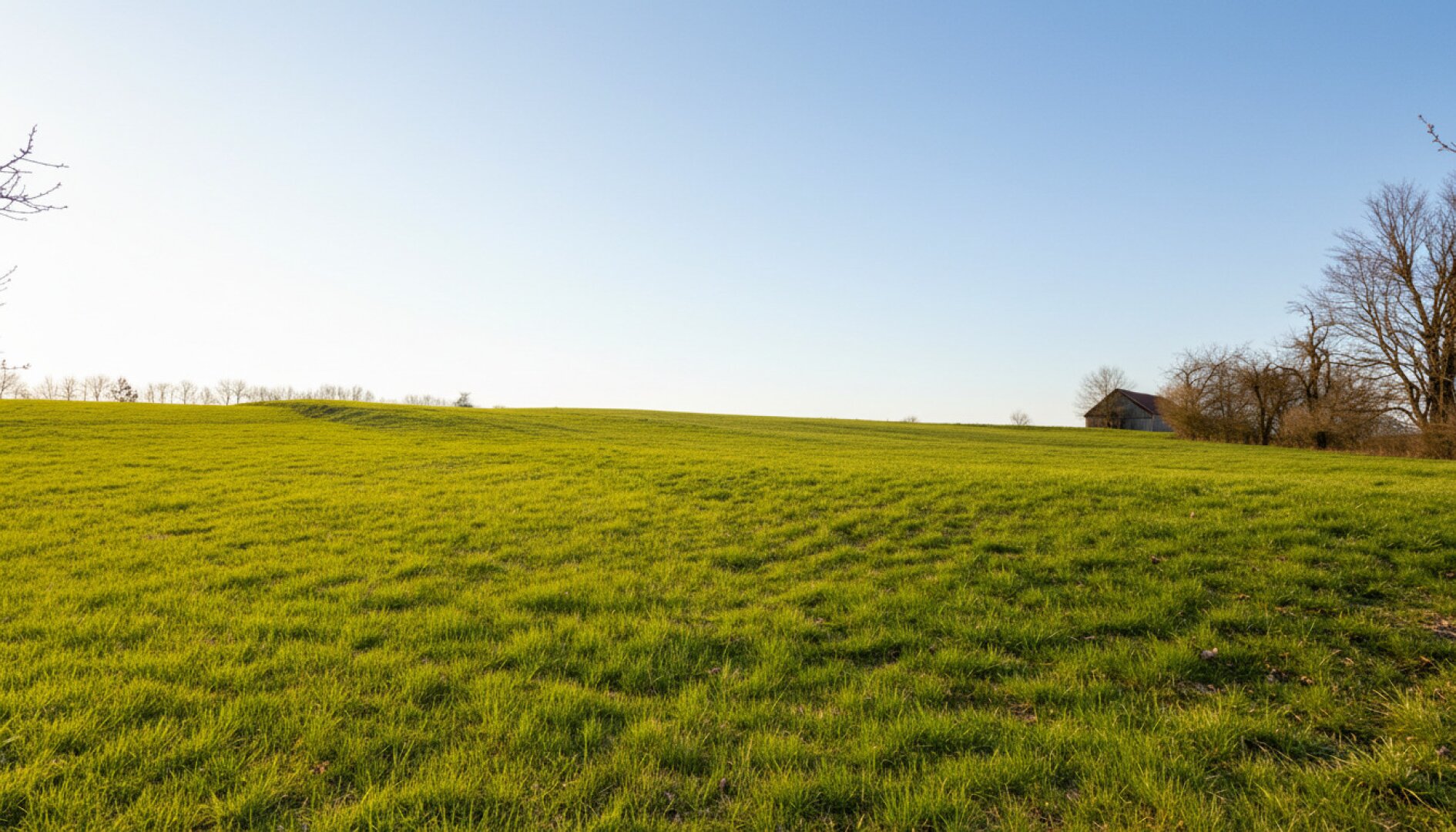 Natur pur! Haus mit großer Wiese für Naturliebhaber