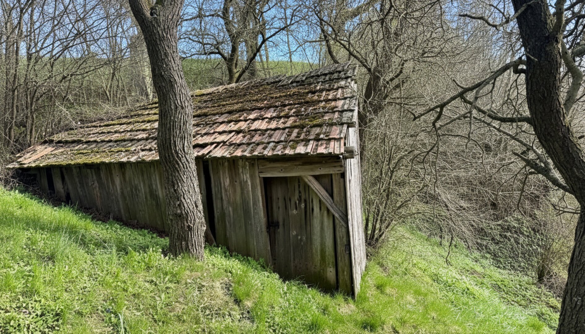 Natur pur! Haus mit großer Wiese für Naturliebhaber
