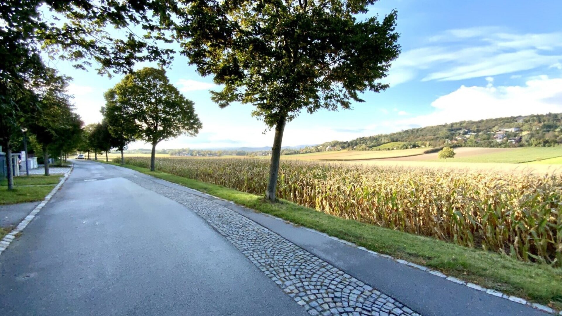 Stadtvilla mit parkartigen Garten - 1953m² Grundstücksfläche - direkt am Bisamberg - privat Zugang zum Wald - Grünblick - Ruhelage