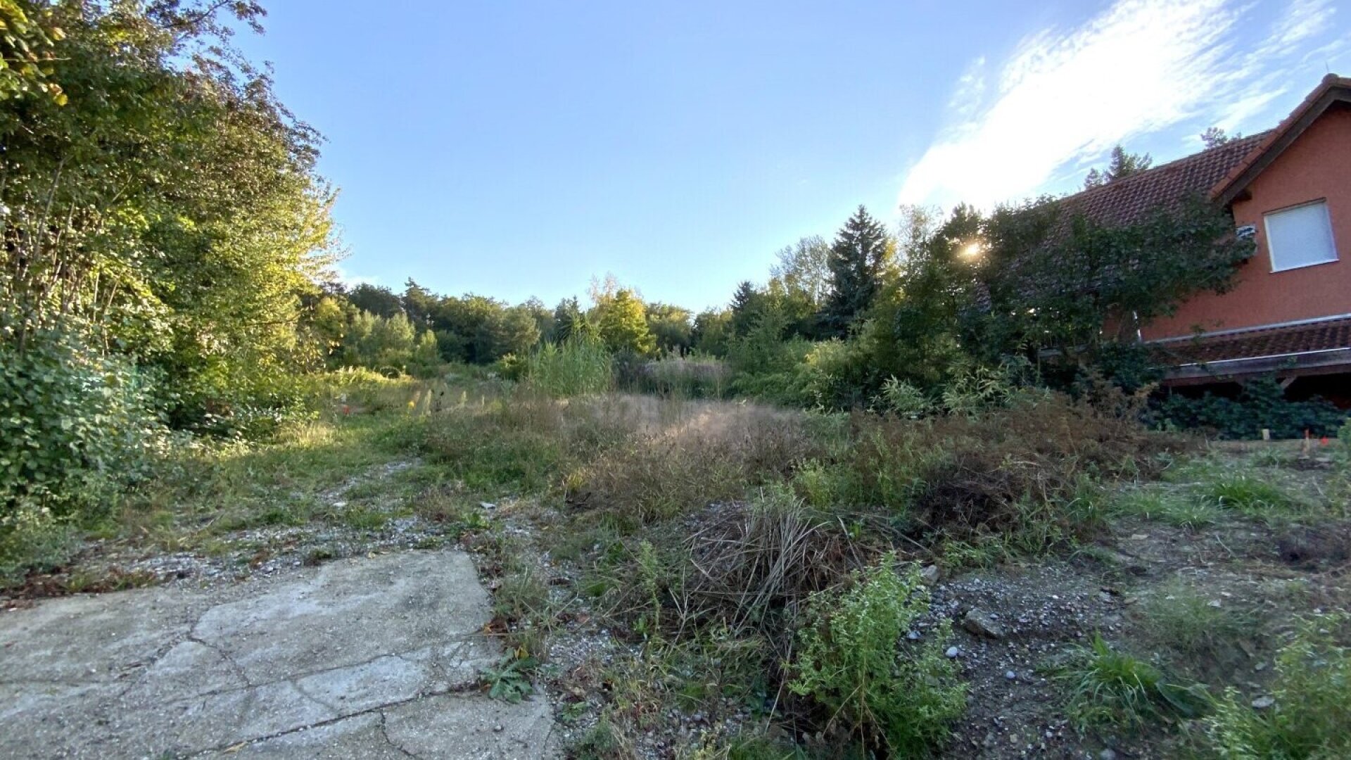 Stadtvilla mit parkartigen Garten - 1953m² Grundstücksfläche - direkt am Bisamberg - privat Zugang zum Wald - Grünblick - Ruhelage
