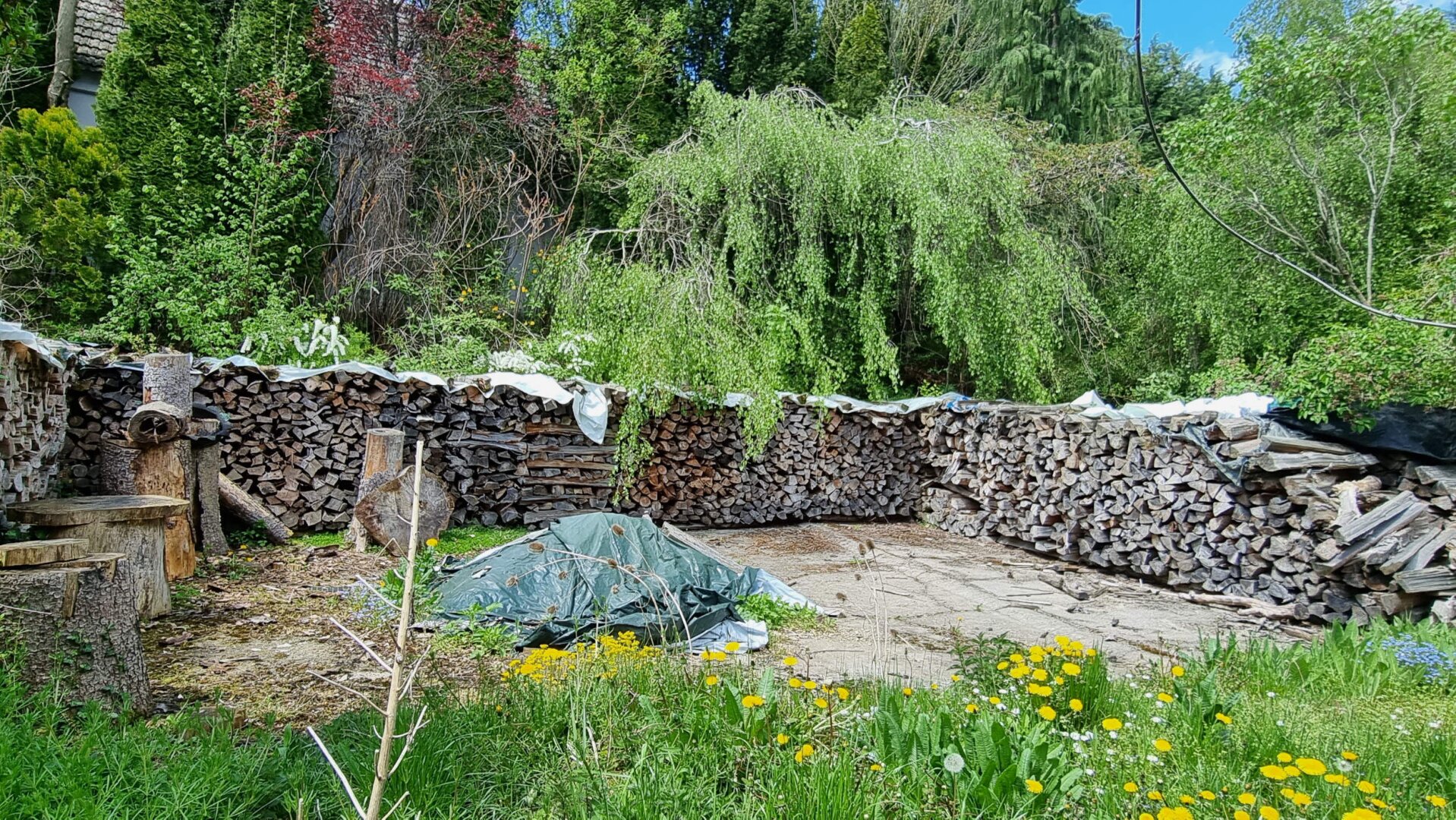 Wildromantisches Grundstück mit charmanten Bauerhof!