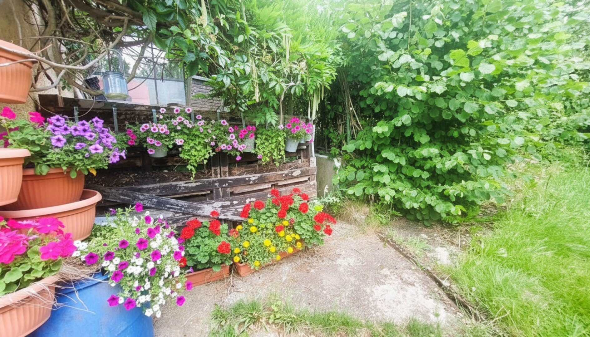 Natur rund ums Haus!