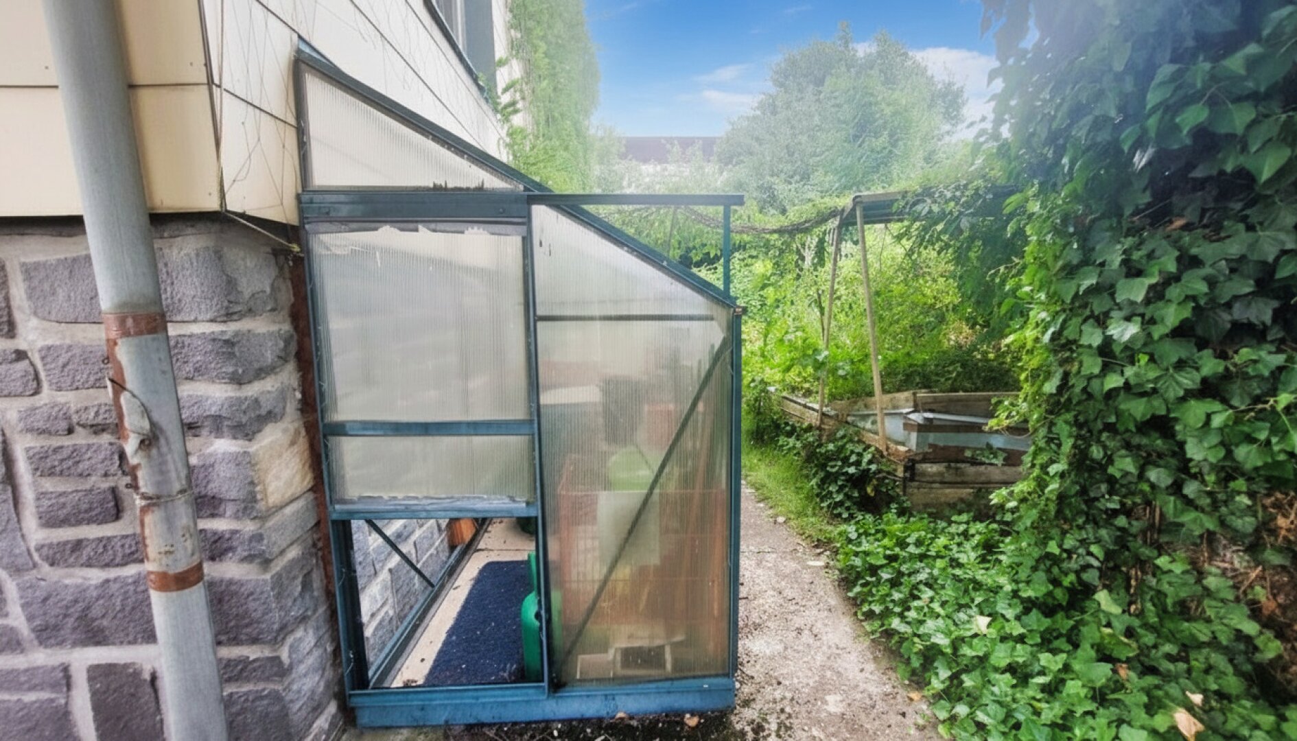Natur rund ums Haus!