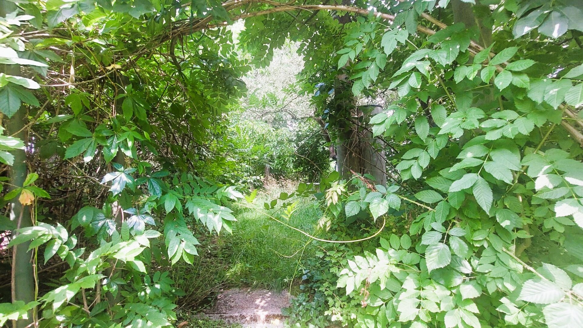 Natur rund ums Haus!