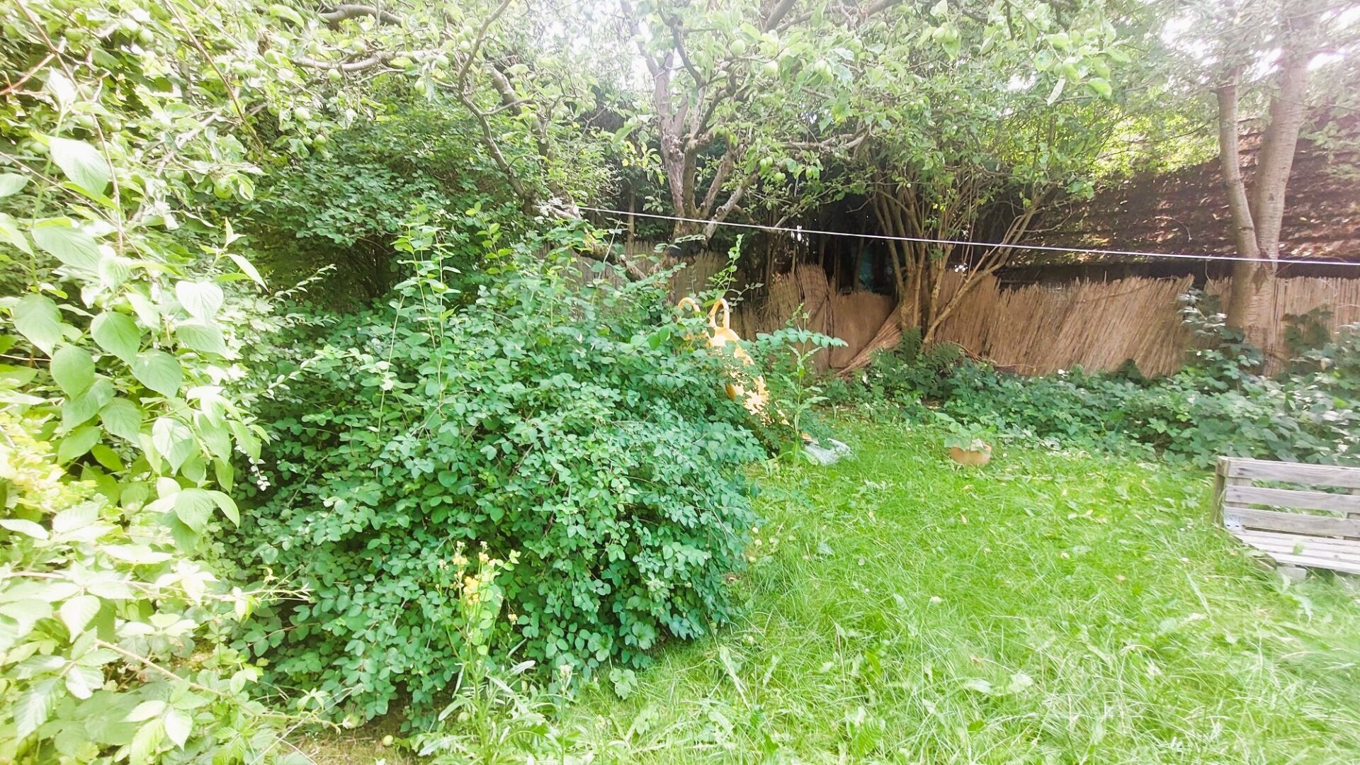 Natur rund ums Haus!