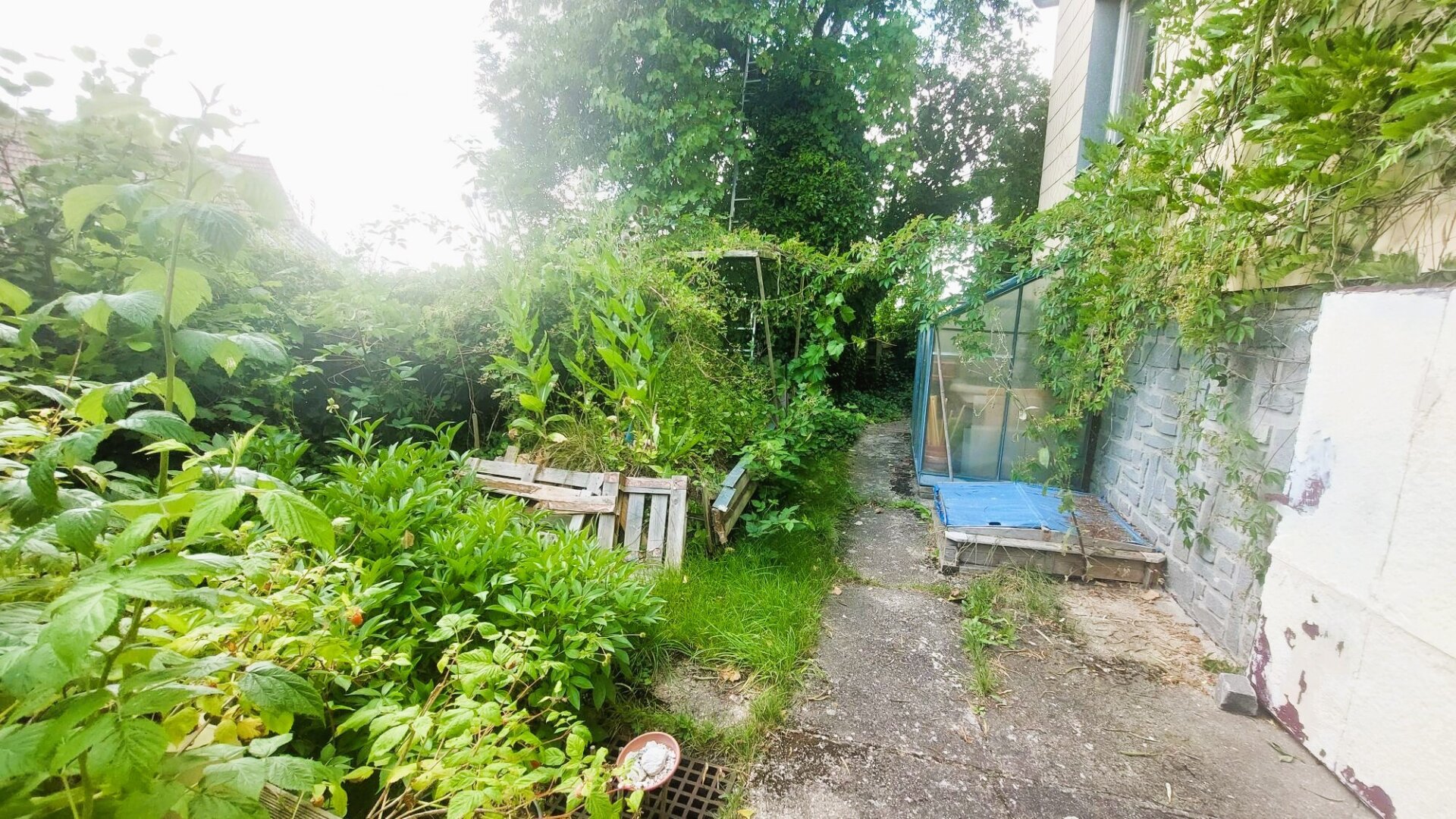 Natur rund ums Haus!
