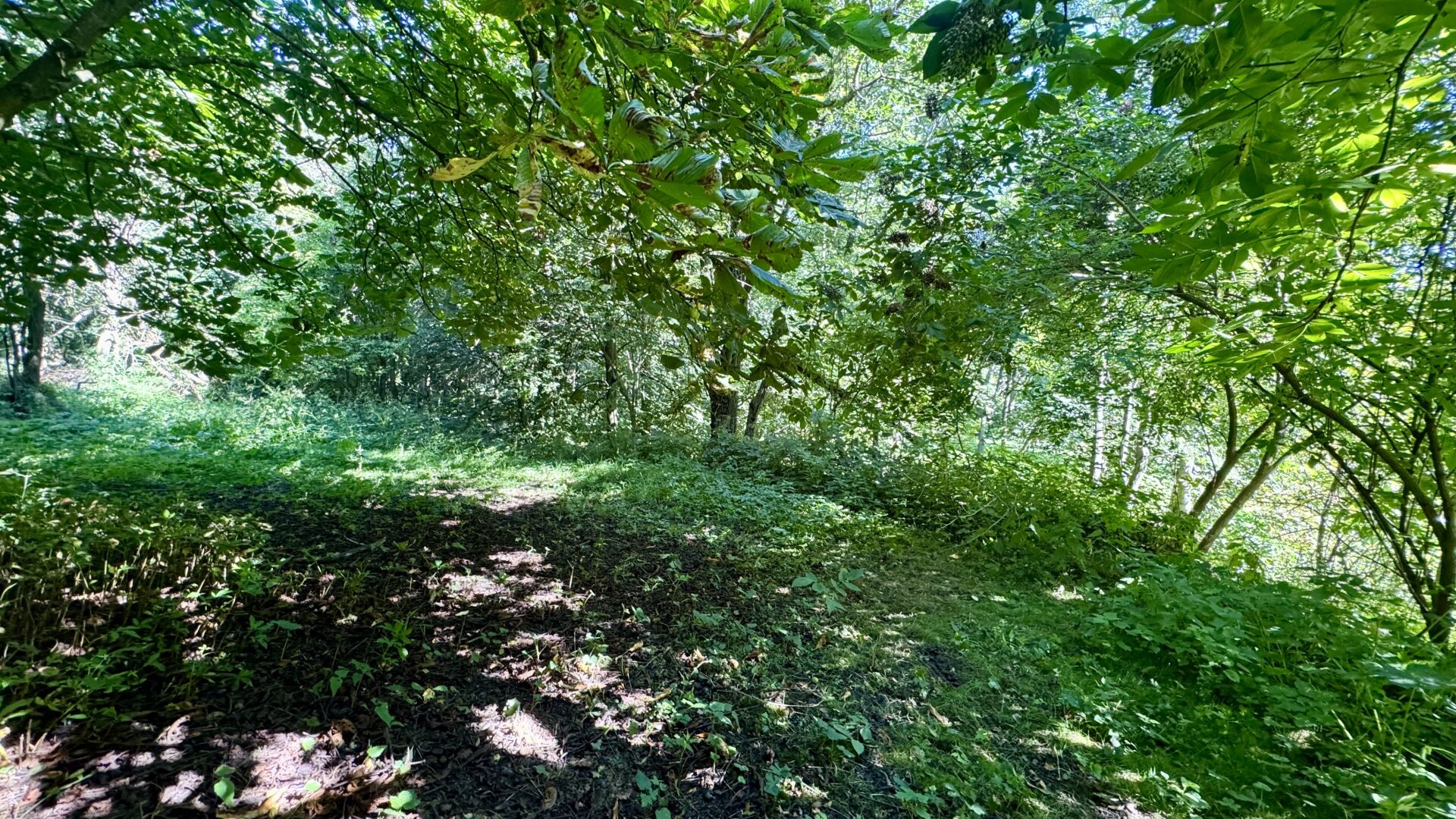 Ein versteckter Schatz im Waldviertel