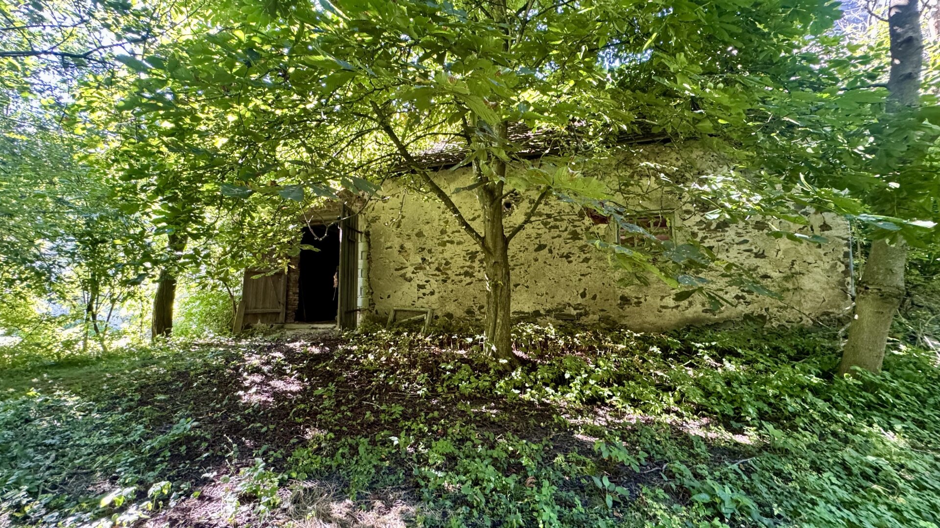 Ein versteckter Schatz im Waldviertel