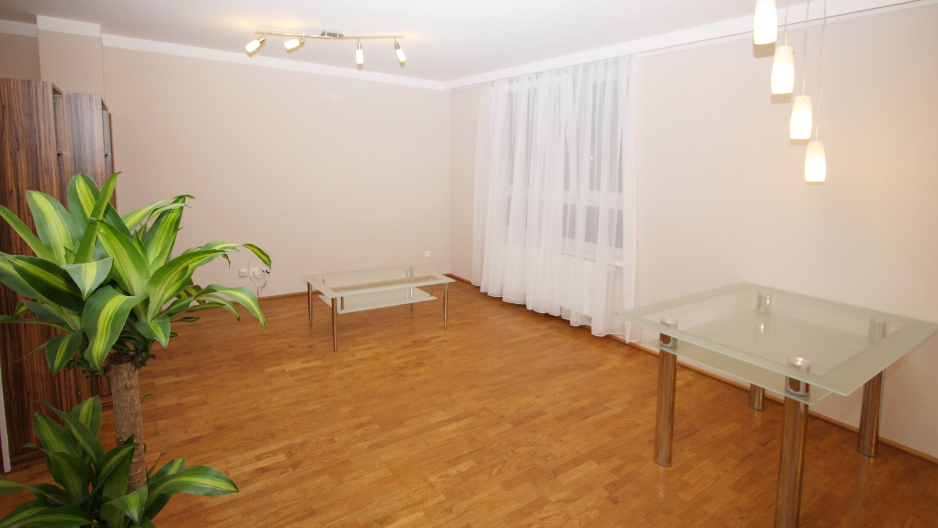 Ruhelage – 6 Min zur U4 – Top Infrastruktur – Anleger & Eigennutzer – Tiefgaragen Stellplatz