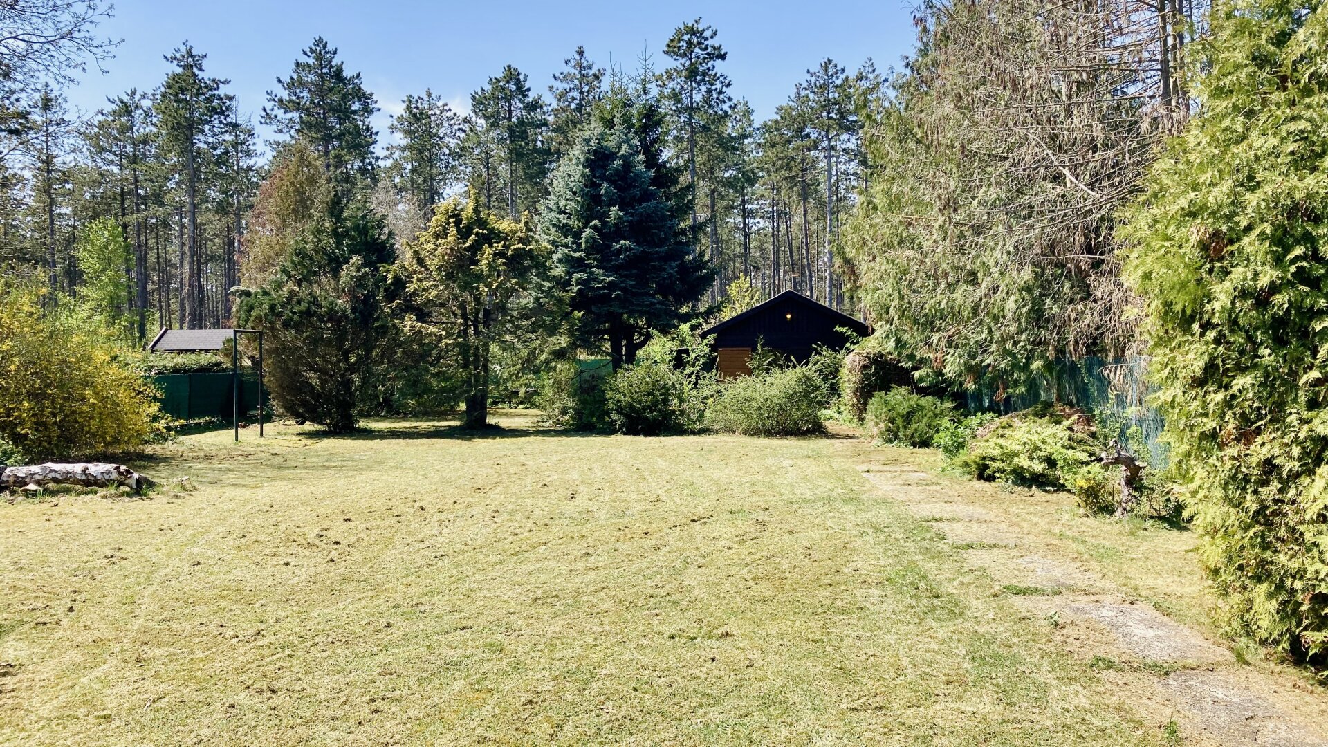 Ruhig wohnen im Grünen - wenige Minuten nach Wiener Neustadt - 804m² Baugrundstück - direkt neben dem Wald - nahe Golfplatz & Therme