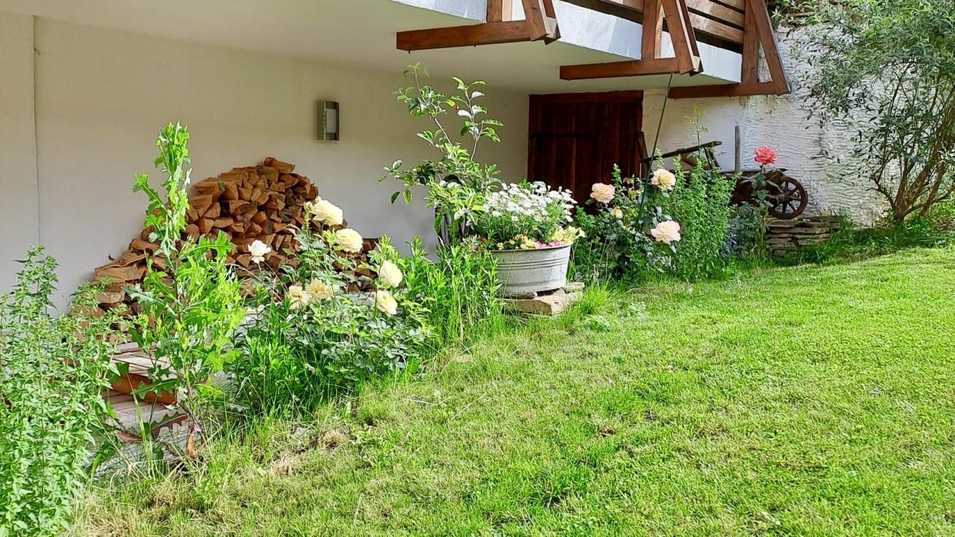 Traumhaft schönes Haus - modern - ansprechend - einzigartig - massive Preissenkung!!!