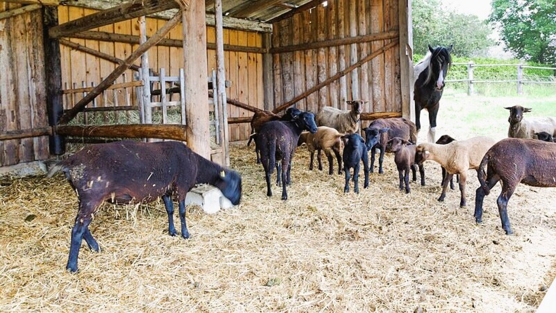 Bio-Landwirtschaft zur Übernahme!