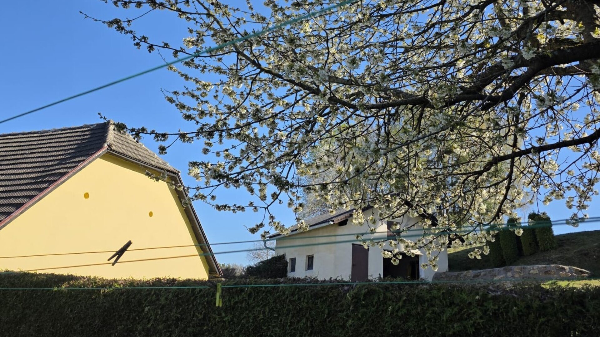 Sacherl für Tierhaltung und Selbstversorger - Ortsrandlage!