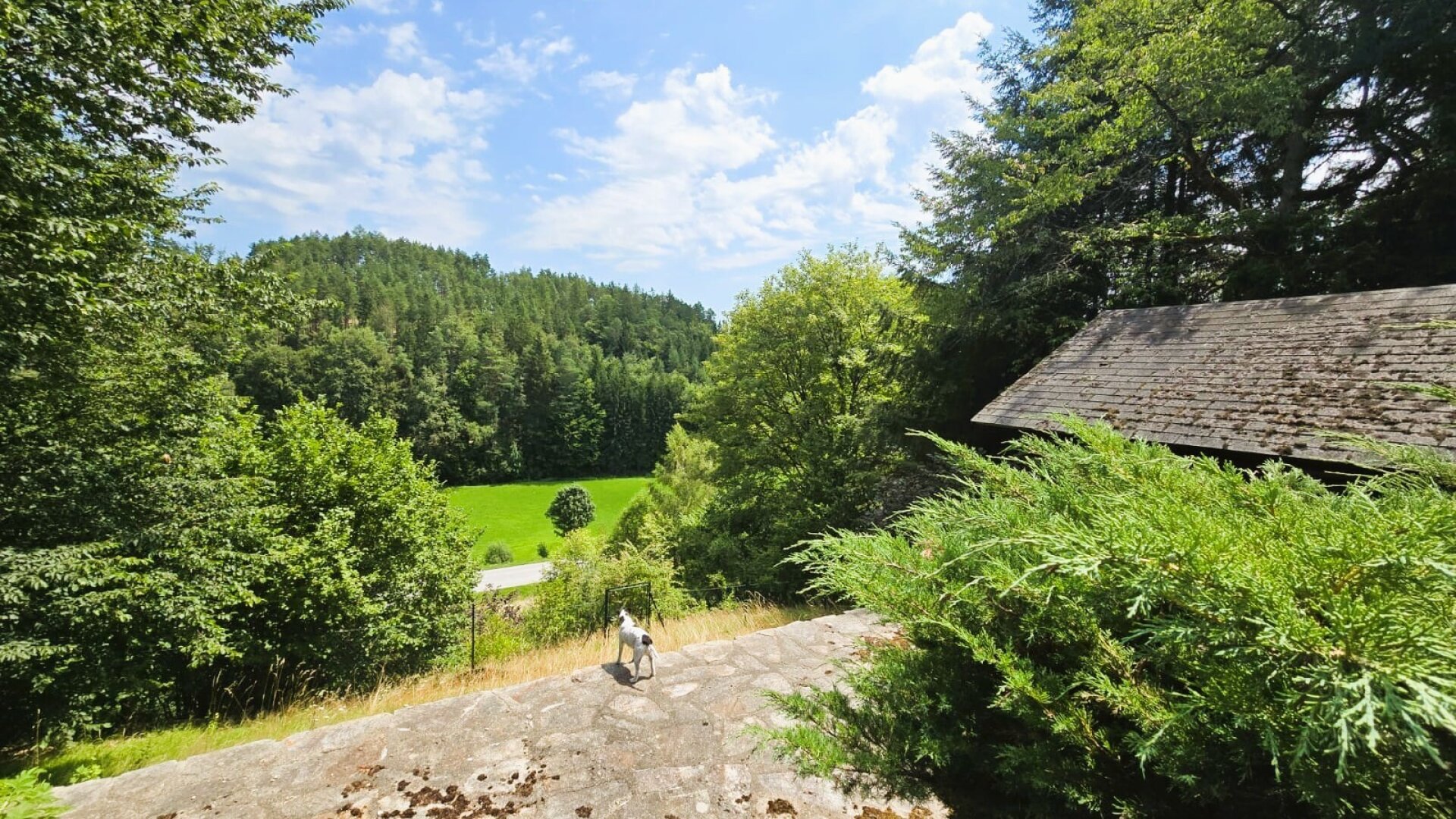 Dort wo die Sonne scheint - Einfamilienhaus!