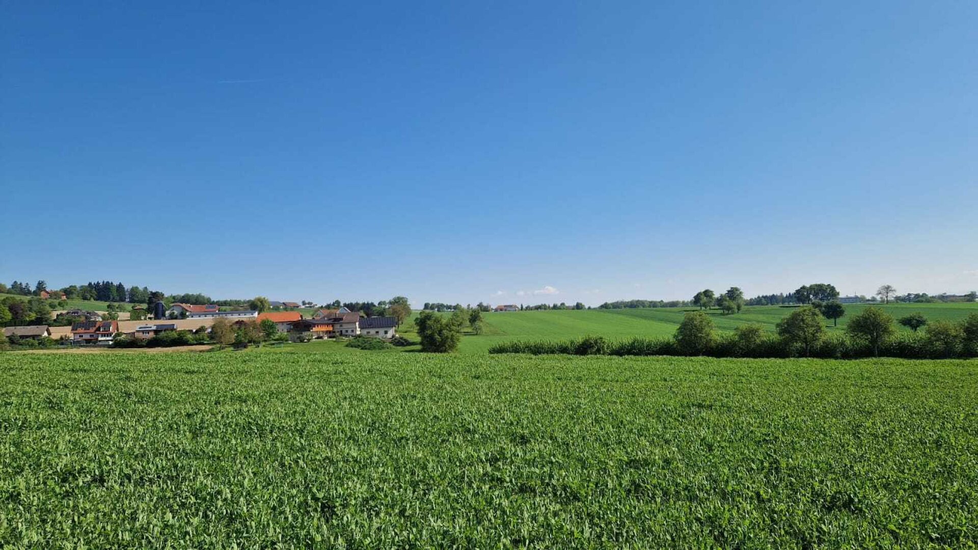 Baugründe in Pollham sonnig in erhöhter Lage ab 77550,--