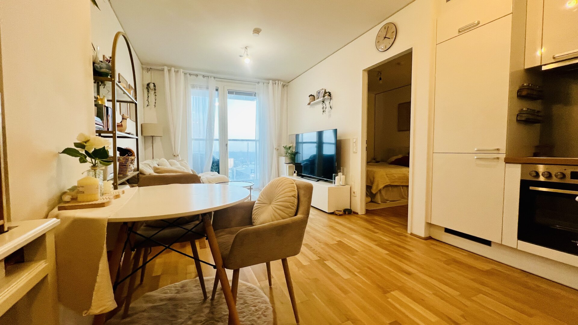 U2 vor der Tür - Marina Tower - Etage 10 - Donaublick - Sunset Balkon - Urban Lifestyle