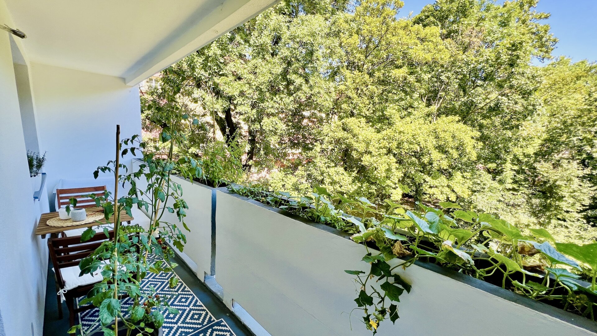 12 Minuten zur U6 - Alte Donau ums Eck - morgen Sonnen am Balkon & Loggia - Grünblick - Innenhof Ruhelage