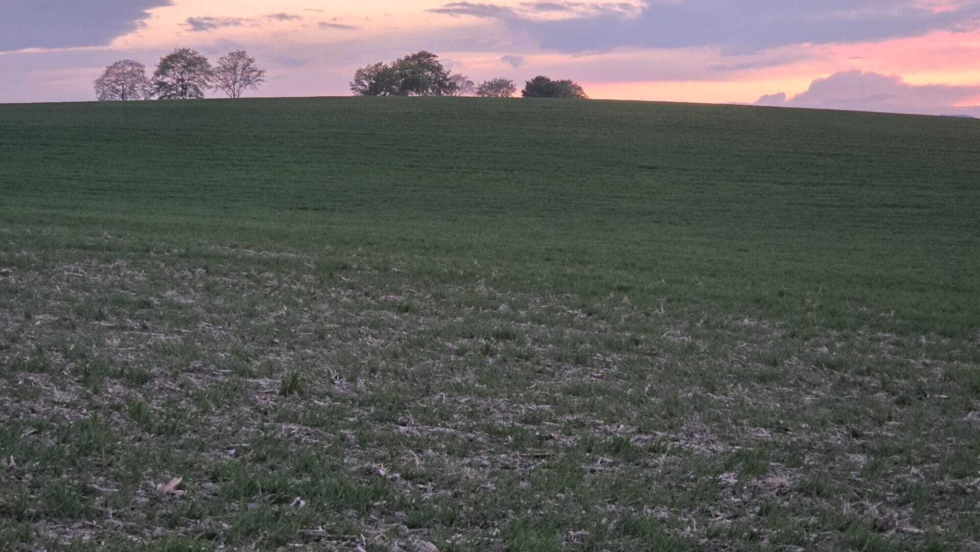 Acker 8,8 ha - TOP Feld