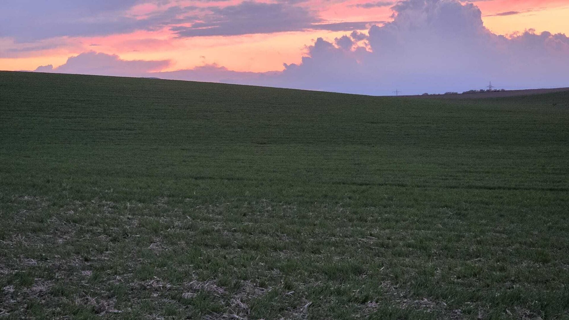 Acker 8,8 ha - TOP Feld