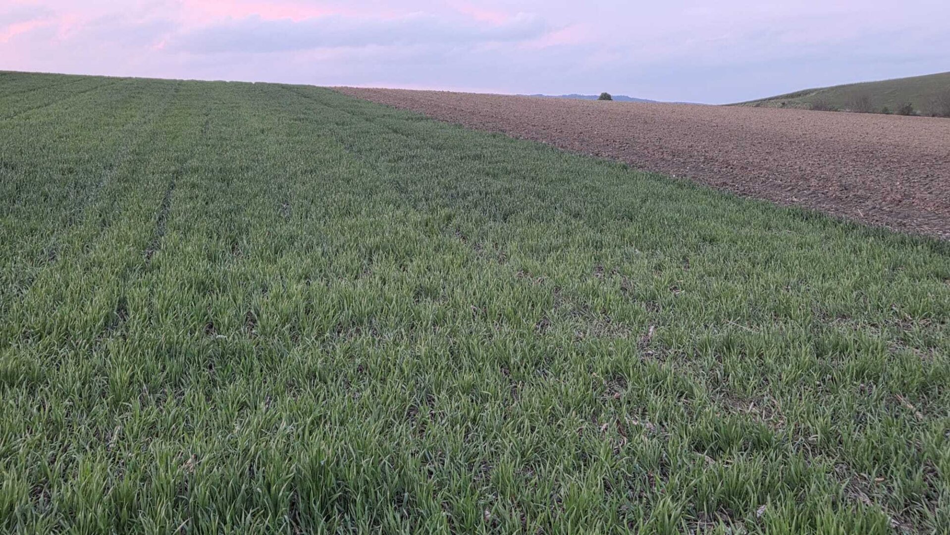 Acker 8,8 ha - TOP Feld