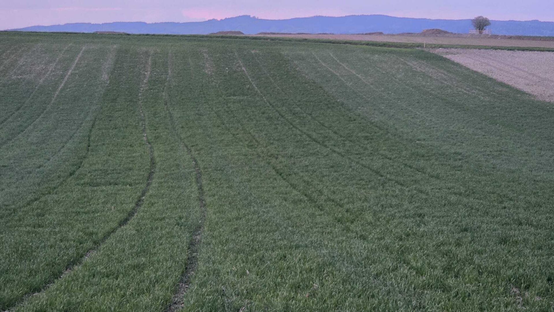 Acker 8,8 ha - TOP Feld