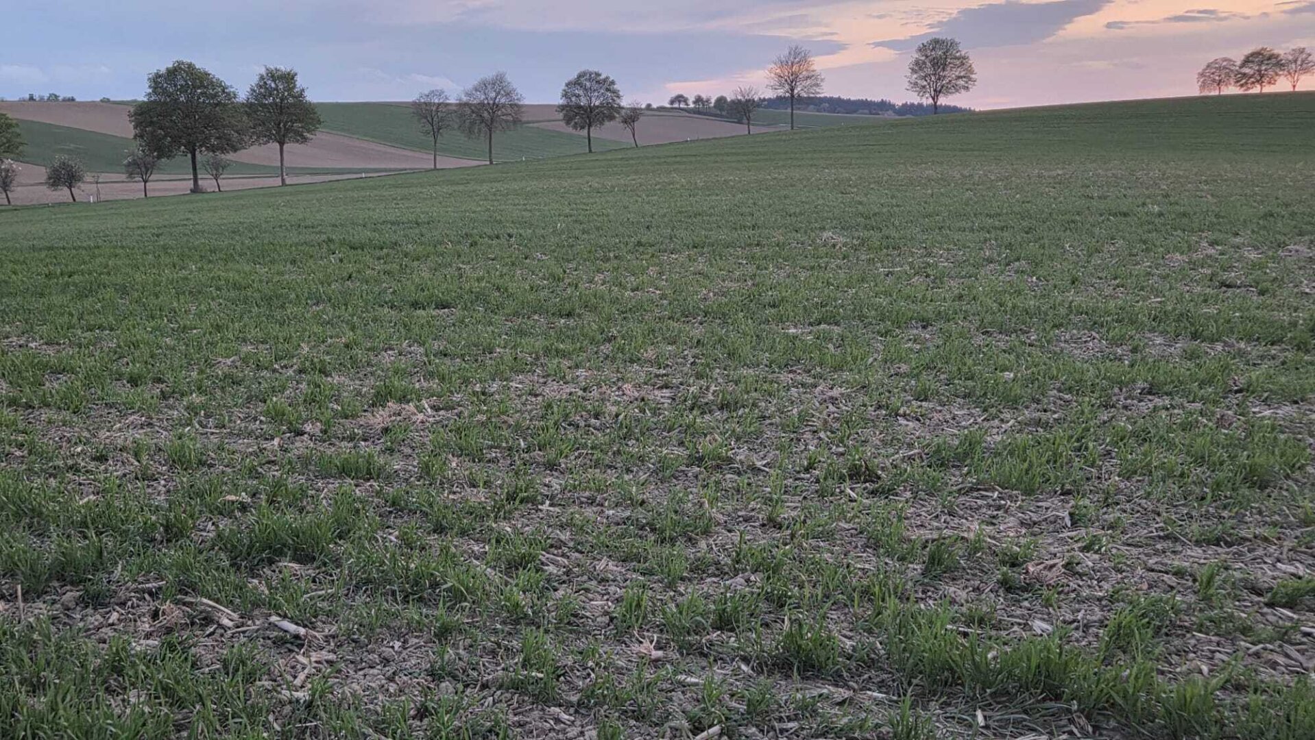 Acker 8,8 ha - TOP Feld