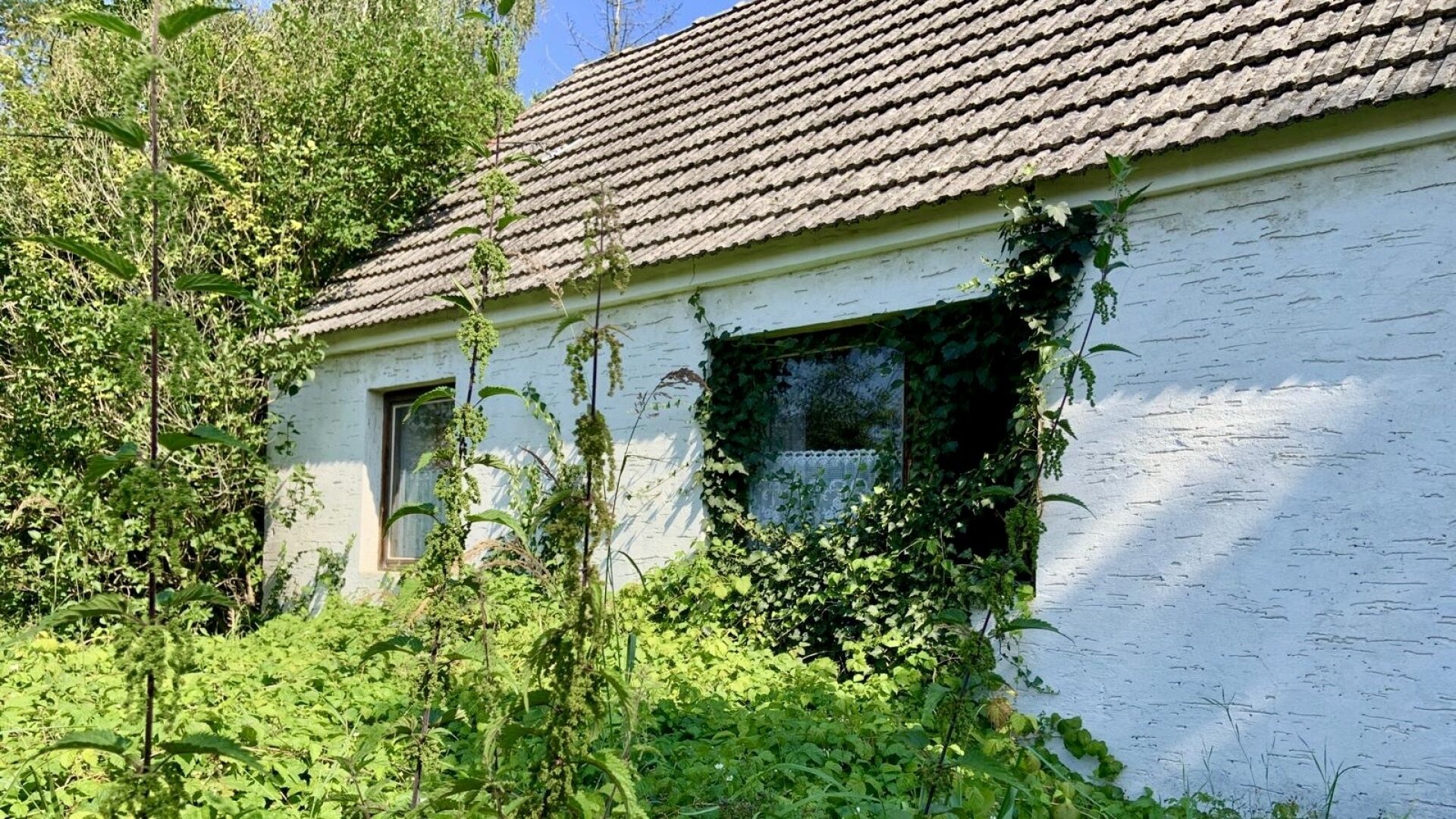 Landleben -  eine Prise Natur - wenig Verkehr - etwas Magie