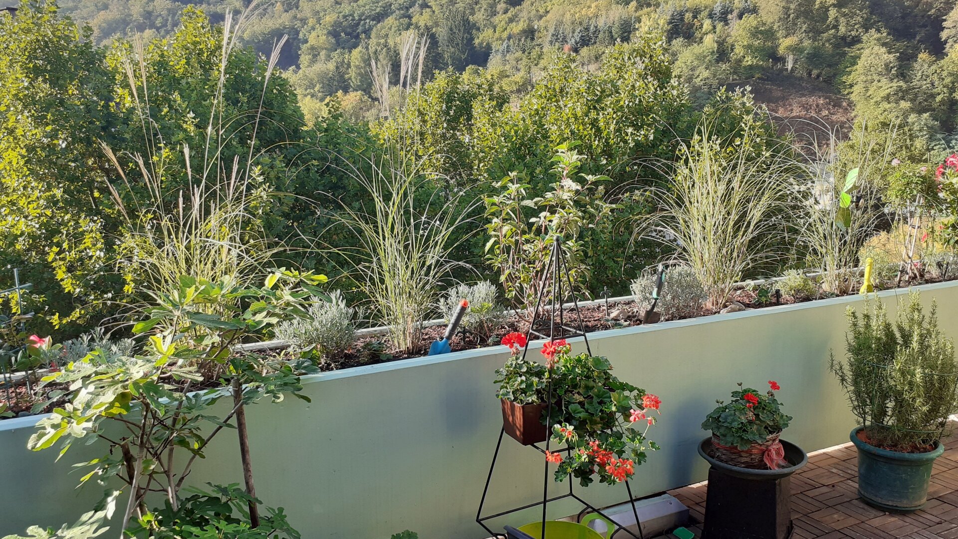 Dachgeschoßwohnung mit 19 m2 Terrasse und Grünblick