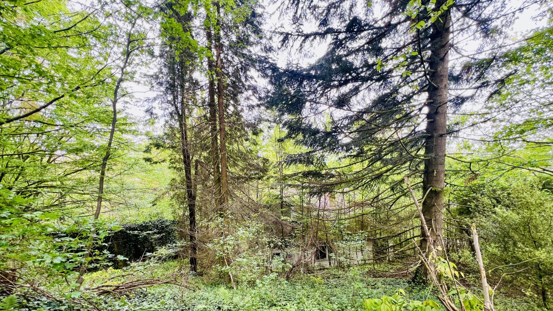 Baugrundstück in herrlicher Ruhelage - vor den Toren Wiens - grüner Weitblick übers Tal - gut bebaubar